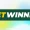 BetWinner logo